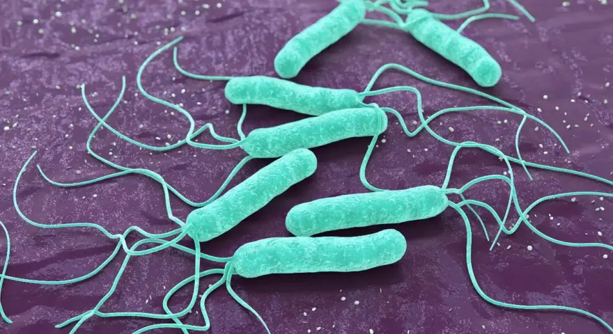 Helicobacter pylori w ustach: 7 objawów, których nie znasz